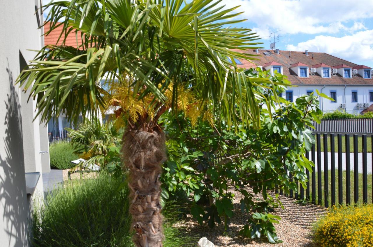 Palm Garden Apartment 1 Mikulov Eksteriør billede